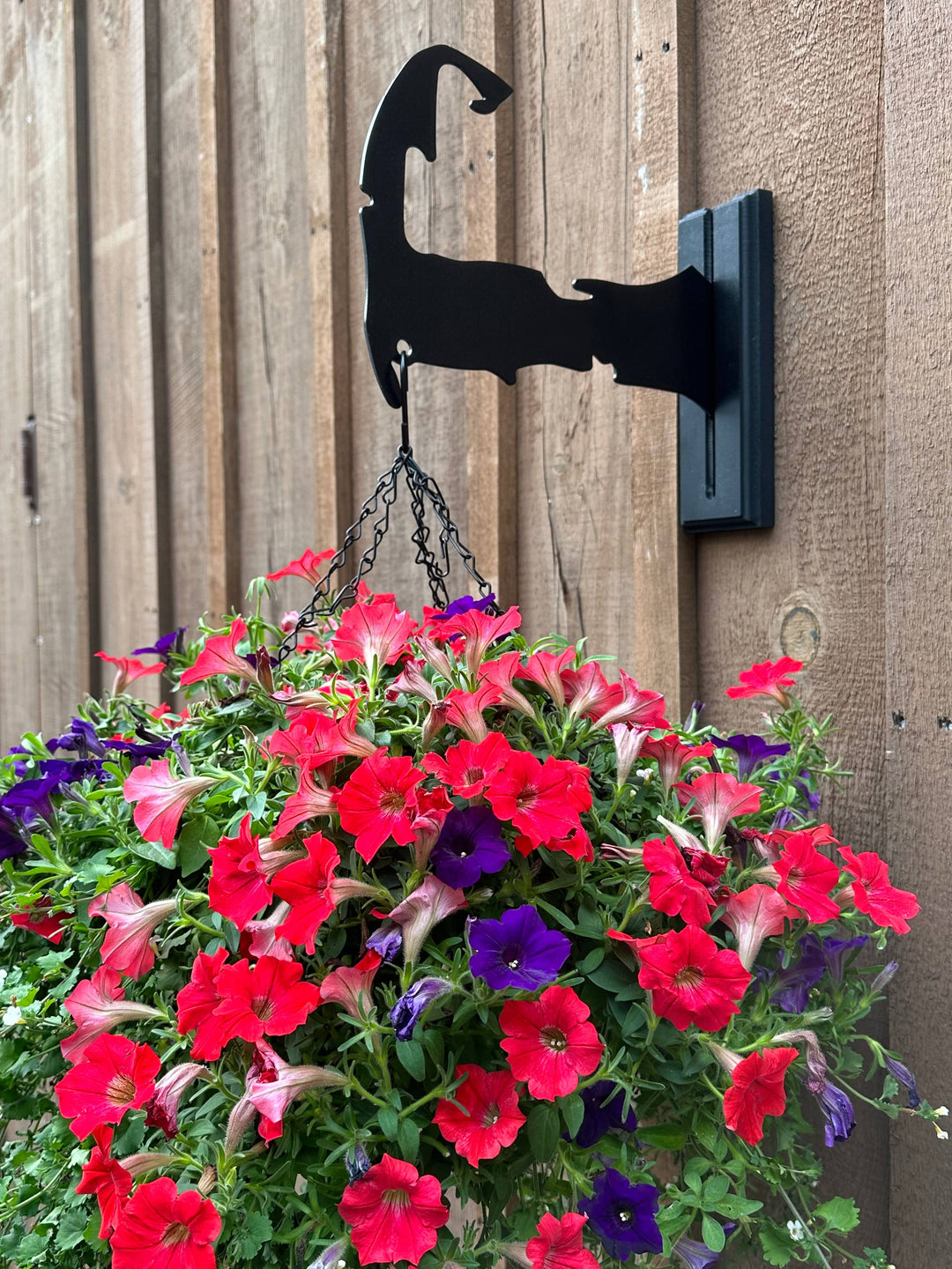 Multi Mount Plant Hanger Cape Cod Plant Hangers